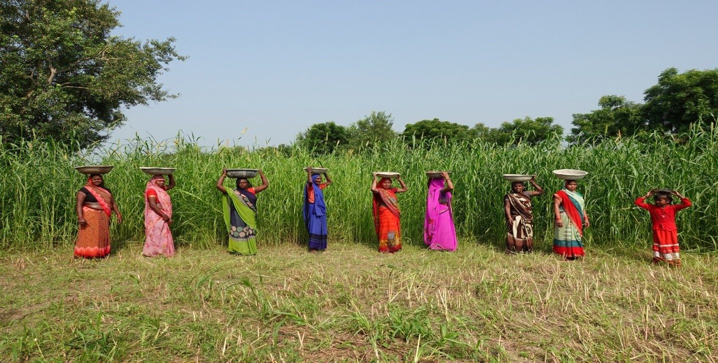 Women walking through a field carrying baskets on their heads